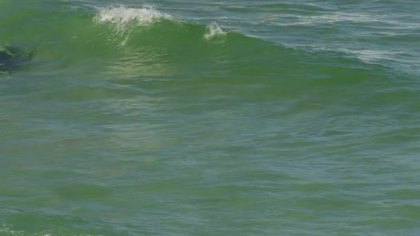 Vista de las olas del océano estrellándose en una roca — Vídeos de Stock