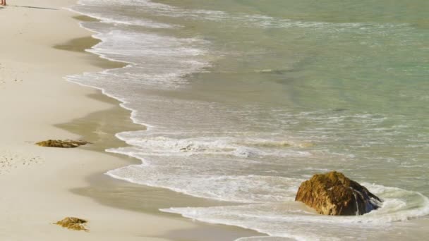 在阳光明媚的日子里，海浪在沙滩上翻滚，带来了巨大的岩石 — 图库视频影像