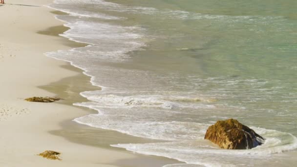 Waves Crashing on the Beach with a Big Rock on a Sunny Day — Stock video