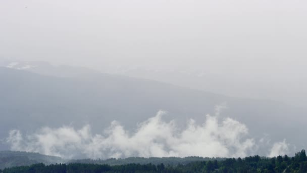 Панорамний лісовий спалах, гірський силует і хмари — стокове відео