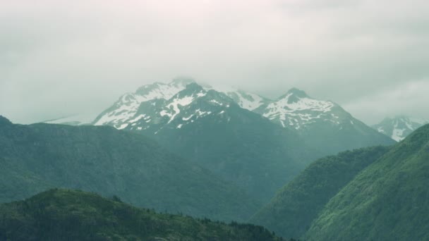 雪に覆われた山脈と森のパノラマショット — ストック動画