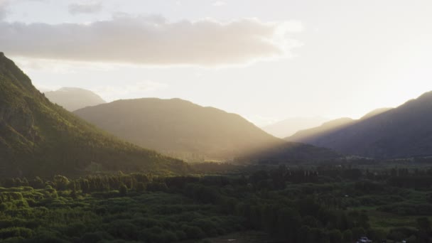 Colinas con abundantes árboles y plantas con cielos despejados en el fondo — Vídeos de Stock