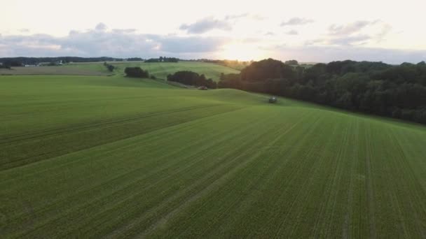 Weelderige groene plantage veld langs de heuvel bij zonsondergang — Stockvideo