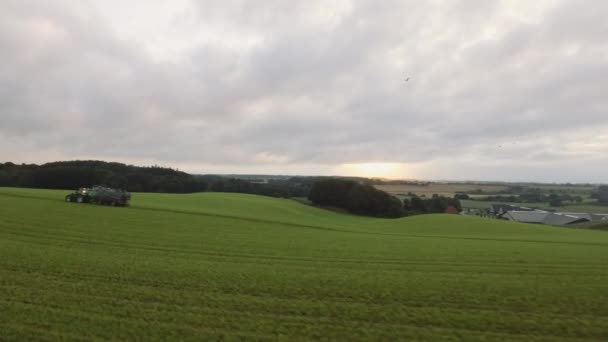 Panning shot van grote groene velden bij zonsopgang — Stockvideo