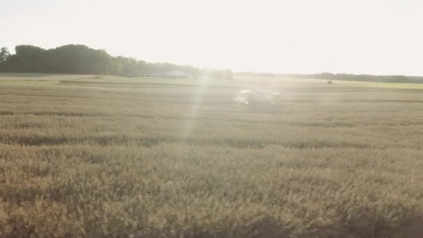 Campo de cultivo que se cosecha con el camión y el sol deslumbramiento en el marco — Vídeos de Stock