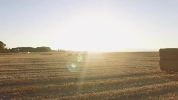 Tracking Shot of Dry Hayfield com pilhas de feno sendo transportados em lotes — Vídeo de Stock