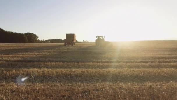 Schwenk auf offenem Feld mit landwirtschaftlichem Gabelstapler beim Abräumen von Heuhaufen — Stockvideo