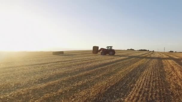 Schöne Aufnahme eines landwirtschaftlichen Gabelstapler-Traktors, der Heuhaufen auf einem gerodeten Feld hebt — Stockvideo