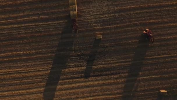 Stapels hooi worden opgeruimd in open veld met de zon op de achtergrond — Stockvideo