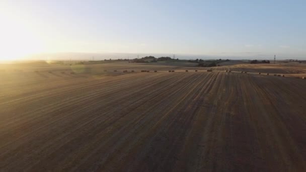 Tiro de tirar o fôlego de um campo de feno aberto com pilhas de feno em fileiras no dia ensolarado — Vídeo de Stock