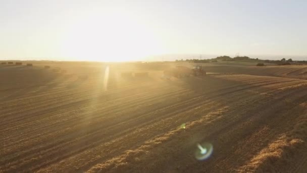 Jordbrukstraktor som bär en last Haystacks som kör längs ett öppet fält vid solnedgången — Stockvideo