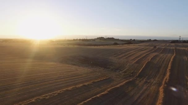 太陽を背に畑を走る大型農地とトラクター — ストック動画