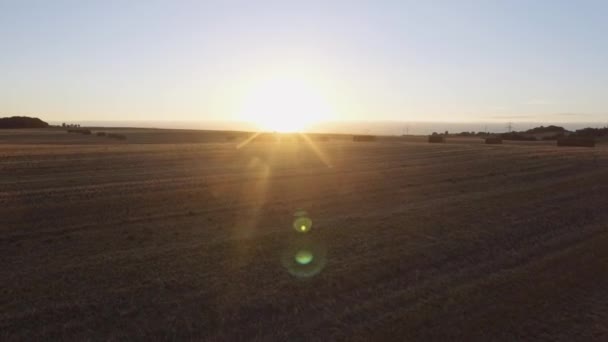 Légi kilátás egy nyitott mezőgazdasági földek szénakazalok sorakozó — Stock videók