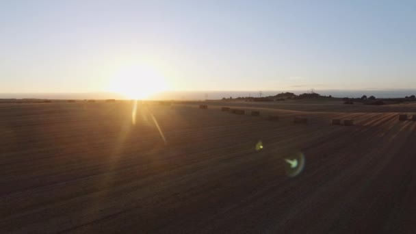 Vista de gran angular de la vasta parcela de tierra agrícola y puesta de sol baja en fondo — Vídeos de Stock