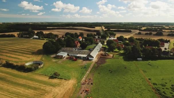 Вид беспилотника на крупную ферму с животными на земле — стоковое видео