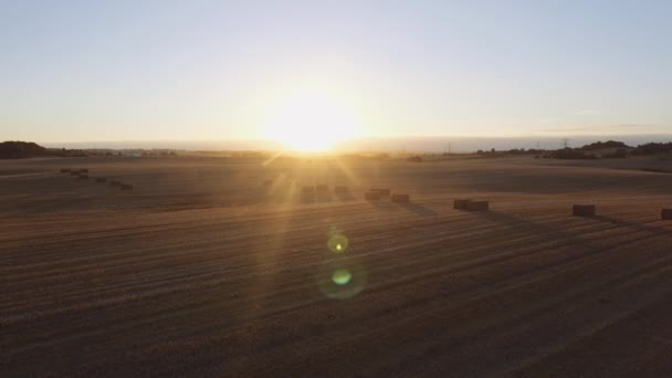 Campo despejado con garzas en el suelo, siluetas de montaña y rayos de sol — Vídeos de Stock