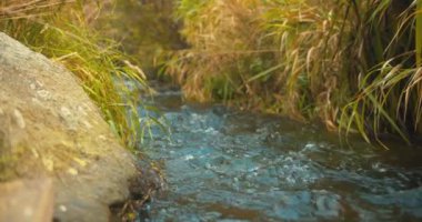 Steady Stream of River Flowing in Between Rocks During Golden Hour