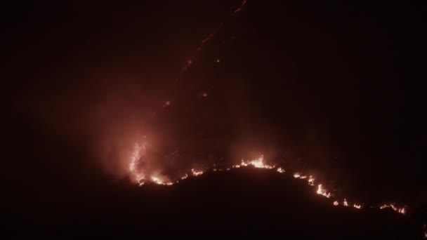 Fumaça grossa vista de cima do fogo selvagem da cabeça do leão — Vídeo de Stock