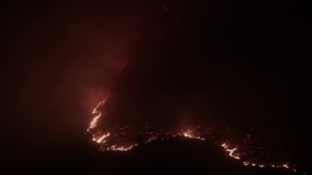 Escena trágica de las enormes llamas que envuelven la cabeza de león en el sur de Ciudad del Cabo — Vídeos de Stock