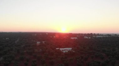 Beautiful Sun Setting by the Lush Green Fields During Golden Hour