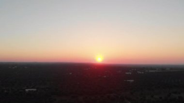 Aerial View of Bright Orange Sun and Sky and Lush Field with Tall Trees