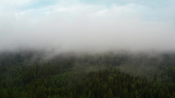 Panoramatický výhled na svěží zelený les s plochou pokrytou hustou mlhou — Stock video