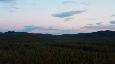 Beautiful Scenery From Above with Pine Trees, Mountain Range and Clear Skies