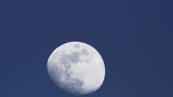 Beautiful Moon Glowing Against the Night Sky — Stock Video