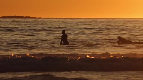 Серфингисты сидят и лежат на досках на закате моря — стоковое видео