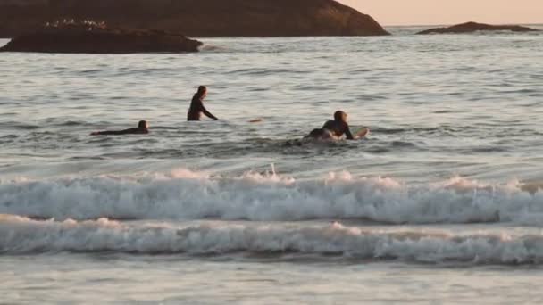 Tre surfare ombord i havet vid solnedgången — Stockvideo