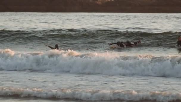 Surfers On Slow Motion Sea At Sunset — Stock Video