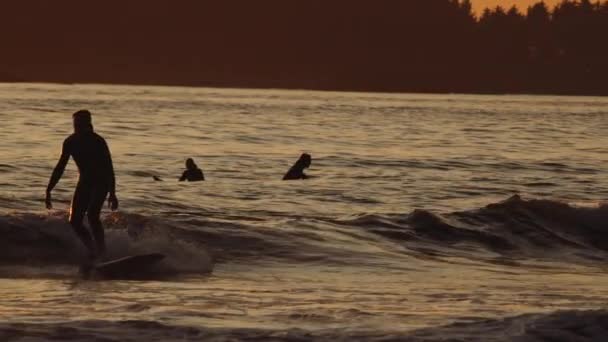 Surfeur Vague D'équitation Sur Mer Au Coucher Du Soleil 