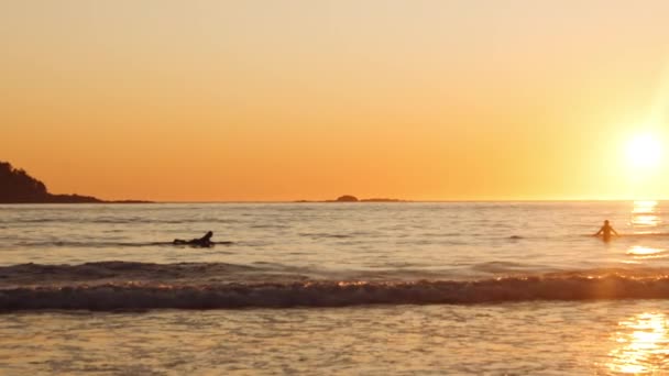 Surfers σε αργή κίνηση θάλασσα στο ηλιοβασίλεμα — Αρχείο Βίντεο