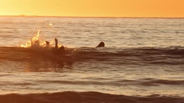 Surfeurs à bord dans la mer du coucher du soleil — Video
