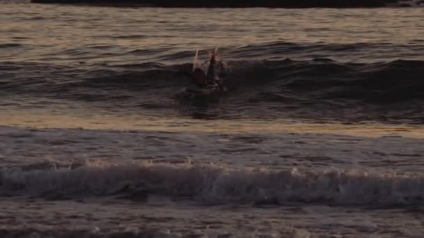 Surfer liegt an Bord und planscht in die Welle — Stockvideo