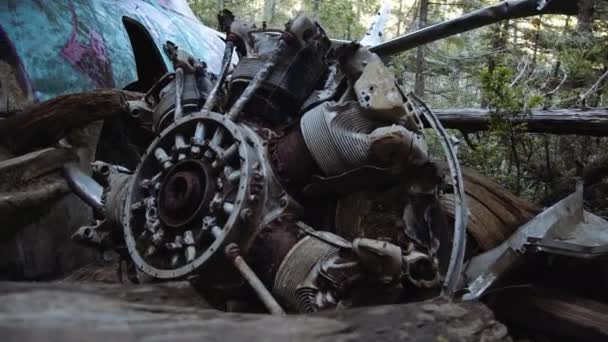 坠毁的飞机螺旋桨受损 — 图库视频影像