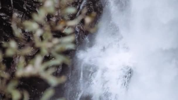 Träd i förgrunden som vatten kaskader ner — Stockvideo