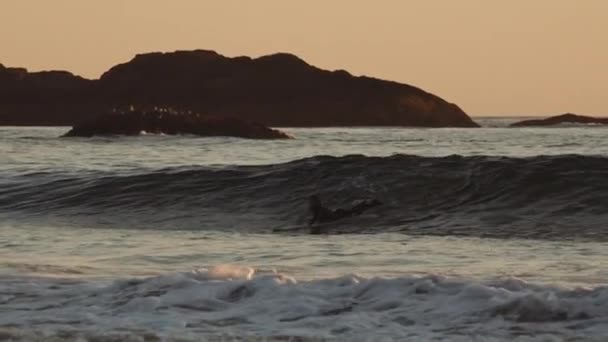 Surfez sur la mer au ralenti au coucher du soleil — Video