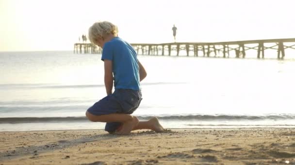 Mittlere Aufnahme eines Jungen, der auf dem Sand spielt, während er Muscheln sammelt — Stockvideo