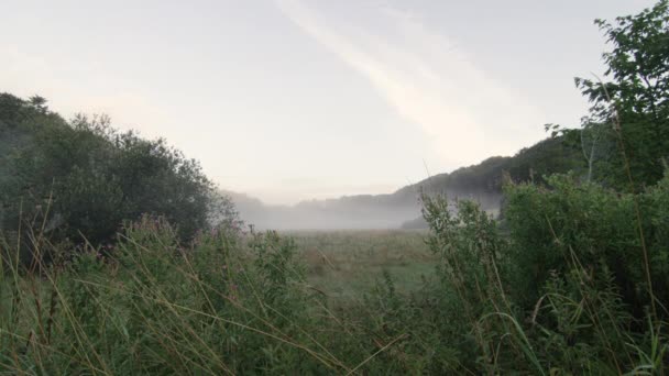 Misty Countryside Under Blue Sky — Vídeo de stock