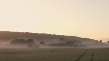 Dawn Over Misty Field In Countryside