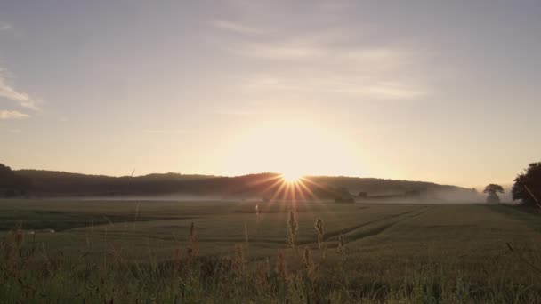 Sol brillando y levantándose sobre el campo en el campo — Vídeo de stock