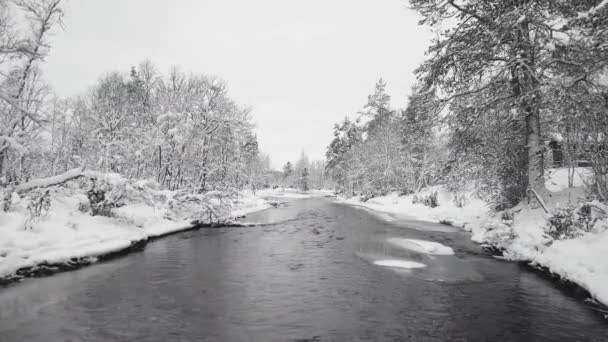 Flowing River In Snow Covered Woodland — Stockvideo