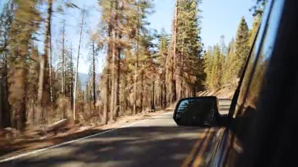 Seguinte Tiro de lado do veículo Cruzeiro ao longo da estrada indo para Yosemite Valley — Vídeo de Stock