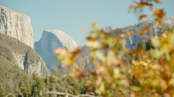 Hojas anaranjadas en primer plano con una hermosa vista del Parque Nacional Yosemite — Vídeo de stock