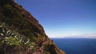 Kıyı ve Mavi Deniz Bitkiler Arasında Yürüyen Adam