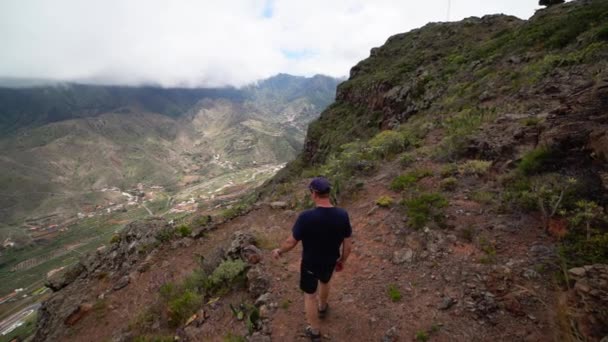 Hombre caminando a través de plantas de montaña — Vídeos de Stock