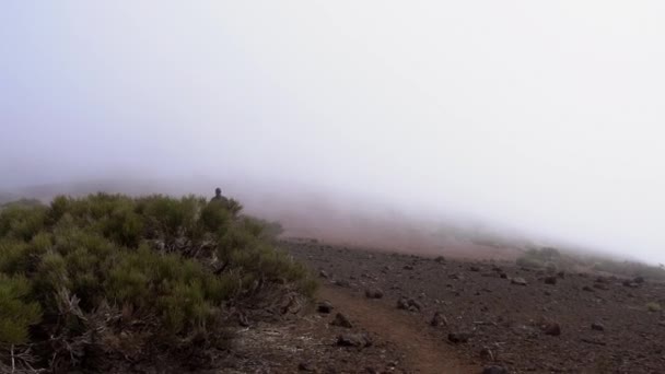 Hombre caminando a lo largo de tierra pedregosa bajo cielo brumoso — Vídeos de Stock