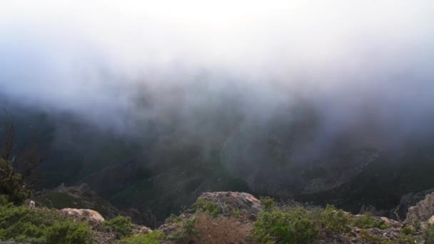 Nevoeiro se movendo sobre o desfiladeiro — Vídeo de Stock