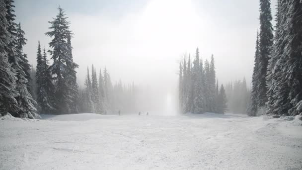 Esquiadores y snowboarders en pista de esquí nublada — Vídeos de Stock